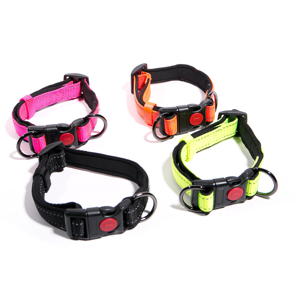 Reflective Lockable Collar