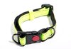 Reflective Lockable Collar