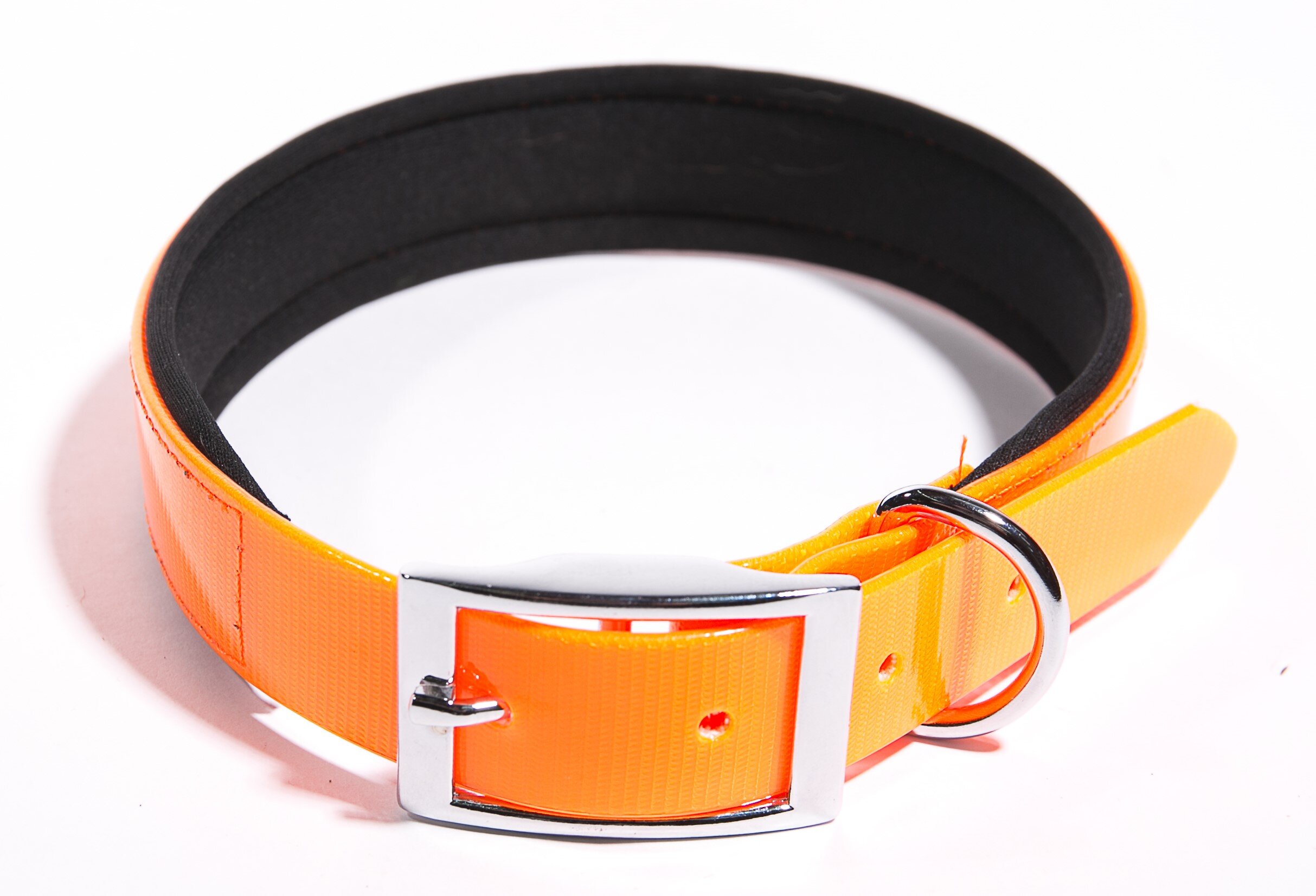 Synthetic Collar - Dog-Collars, Leads & Harnesses-Collars : Pet Shop ...