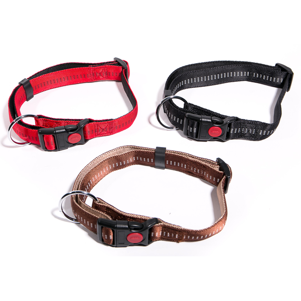 Lockable Collar with Lead