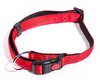 Lockable Collar with Lead