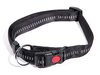 Lockable Collar with Lead