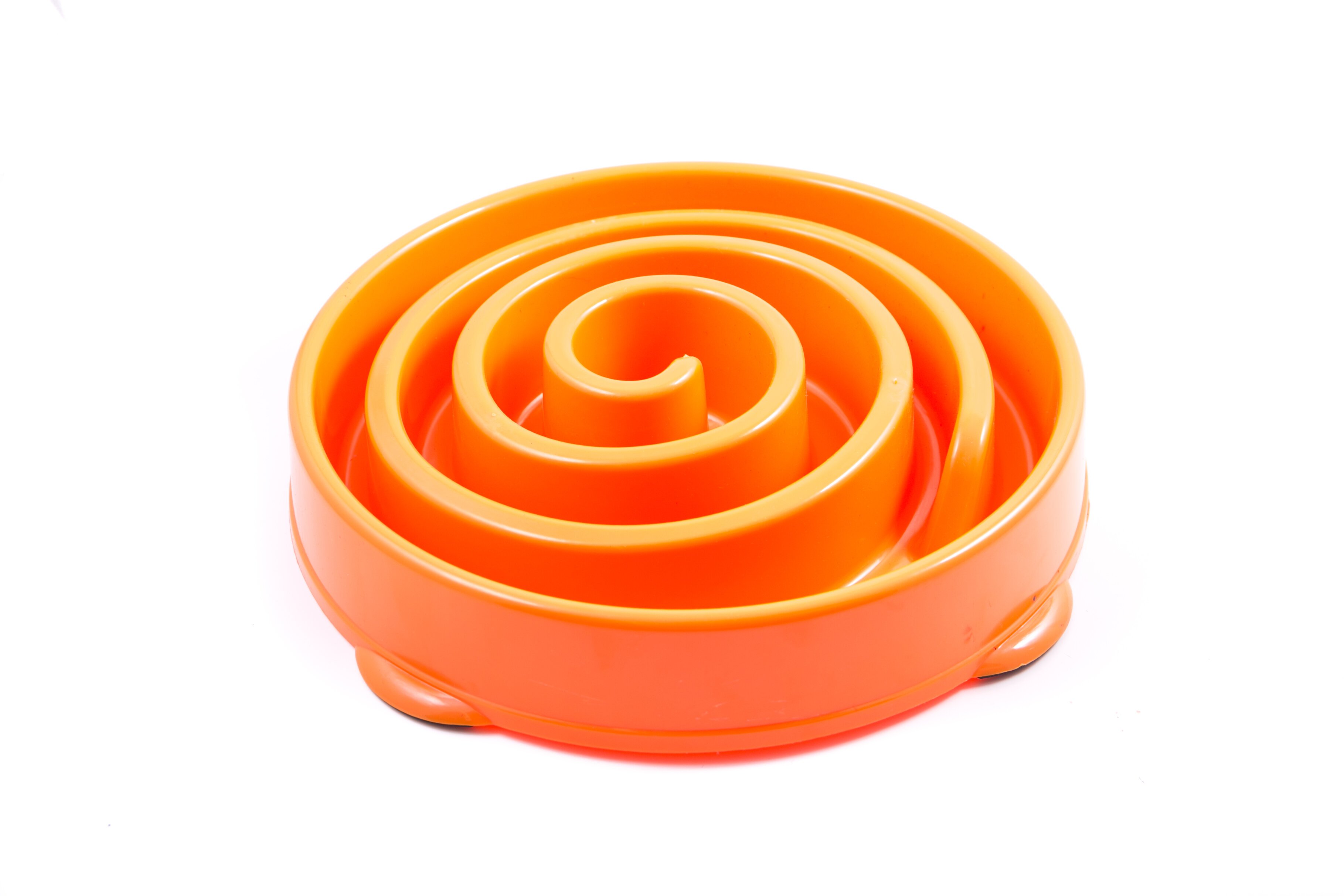 Spiral bowl hot sale for dogs