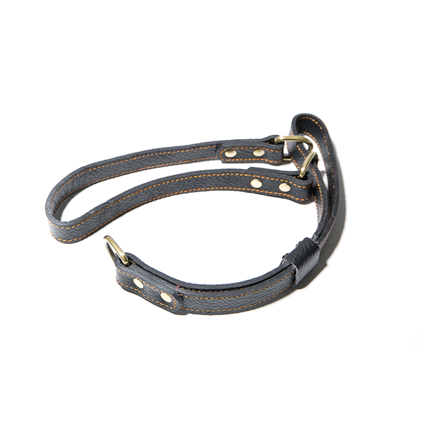 Leather Slip Collar