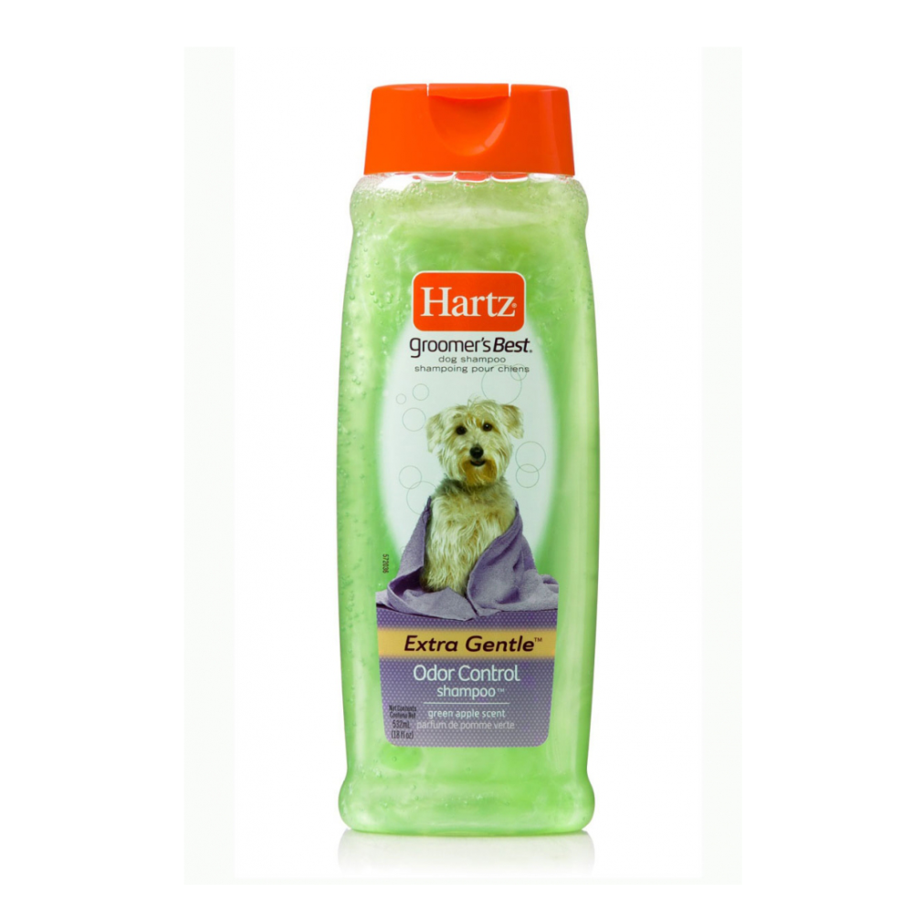 Best shampoo 2024 for dog odor