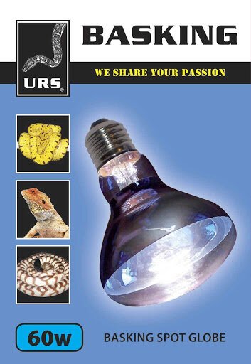 60 watt 2024 reptile bulb