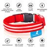 USB Rechargeable LED Dog Collar - Red