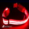 USB Rechargeable LED Dog Collar - Red