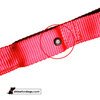 USB Rechargeable LED Dog Collar - Red