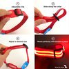 USB Rechargeable LED Dog Collar - Red