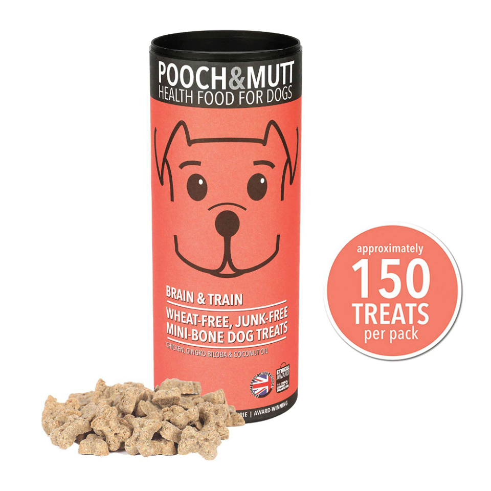 Kiwi dog treats best sale