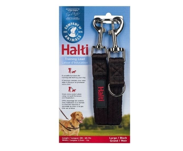 Dog training outlet leads and collars