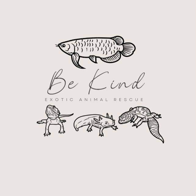 Be Kind Exotic Animal Rescue 